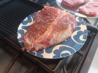 T-Bone 1.jpg