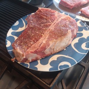 T-Bone 1.jpg