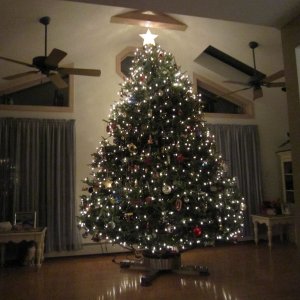 HOLIDAYS 2011 008.jpg