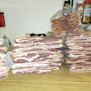 bacon lineup.jpg