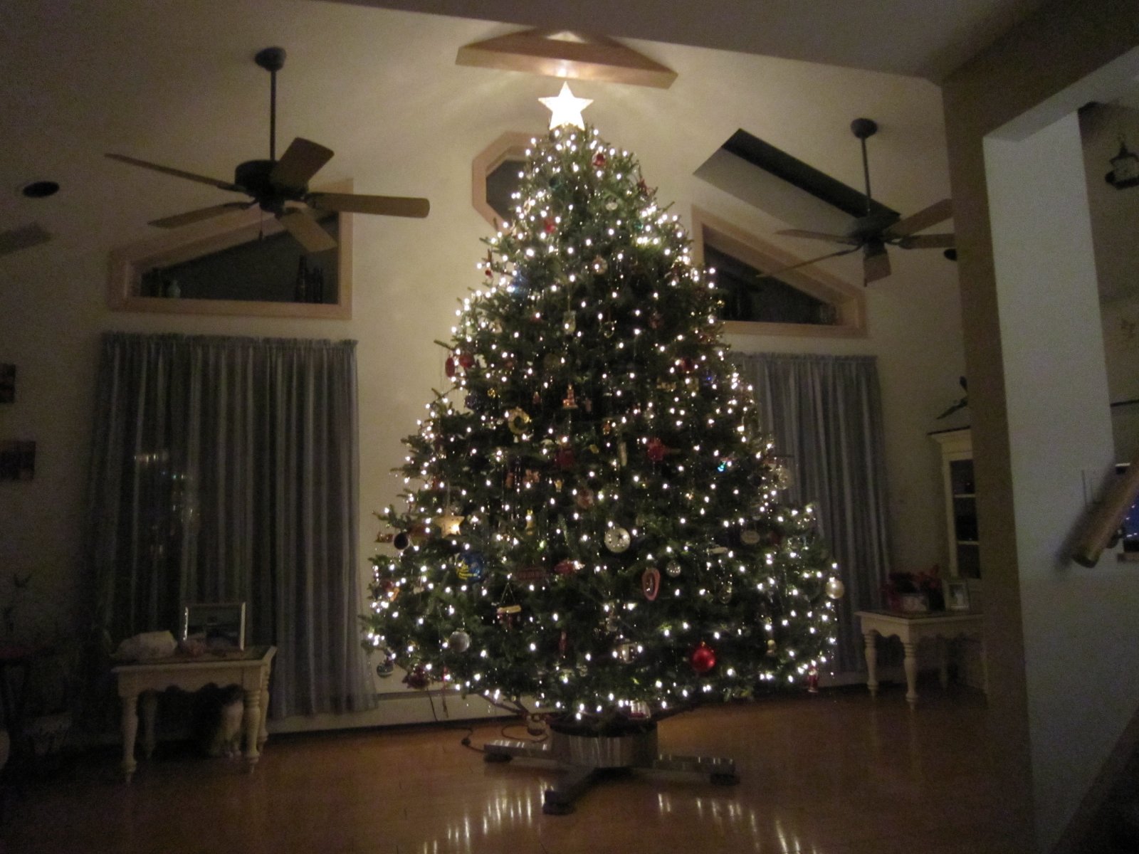 HOLIDAYS 2011 008.jpg